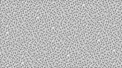 image: users thumbnail