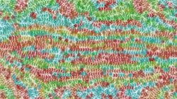 Image: image from chuck's beta test 1