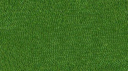 Image: image from chuck's beta test 1