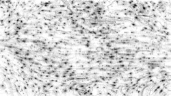 Image: image from chuck's beta test 1