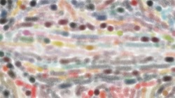 Image: image from chuck's beta test 1