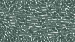 Image: image from chuck's beta test 1