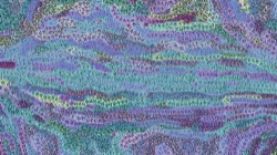 Image: image from chuck's beta test 1