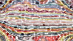 Image: image from chuck's beta test 1