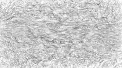 Image: image from chuck's beta test 1