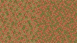 Image: image from chuck's beta test 1