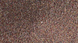 image: image from chuck's particle brushes