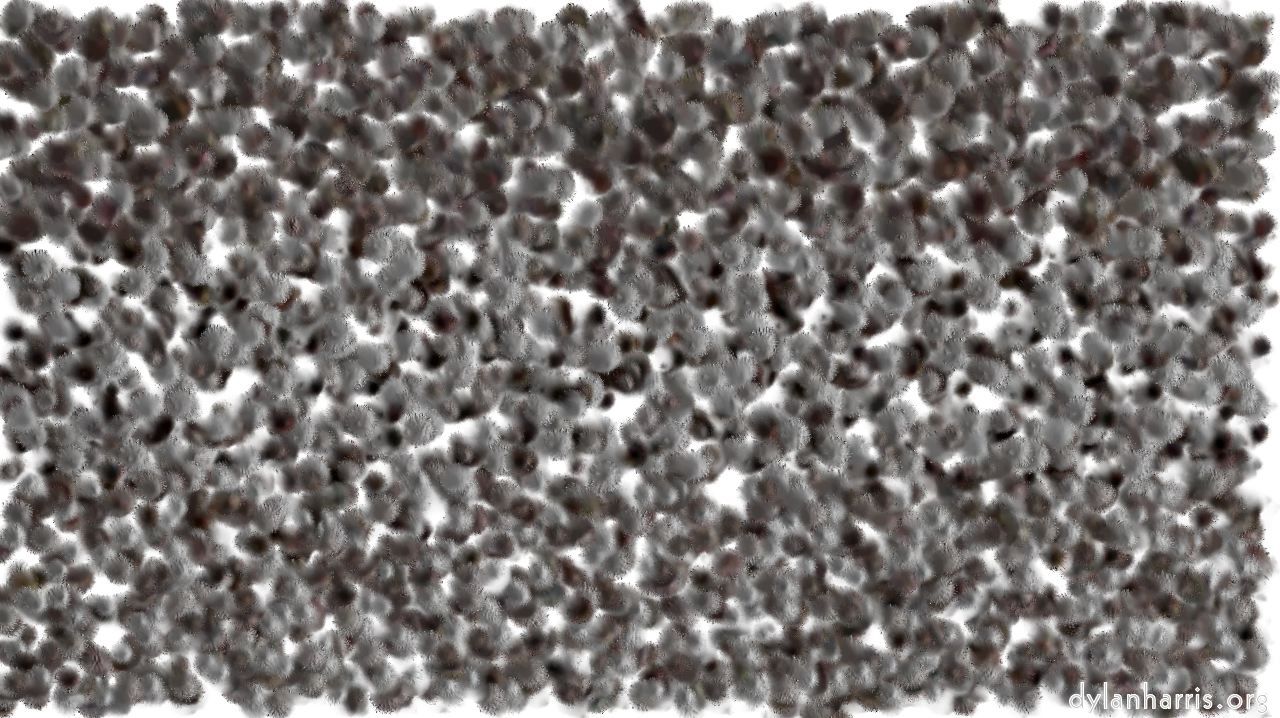 image: chuck's shooting stars :: meltwaydelight2ghosts