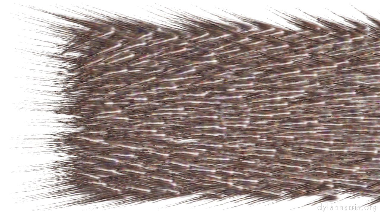 Image: chuck's shooting stars :: proceduralparticlepath2