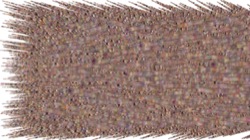 image: image from chuck's shooting stars