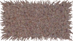 image: image from chuck's shooting stars