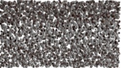 image: image from chuck's shooting stars