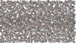 image: image from chuck's shooting stars