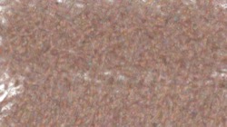 image: image from chuck's shooting stars