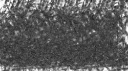 image: image from chuck's shooting stars