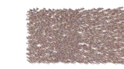 image: image from chuck's shooting stars