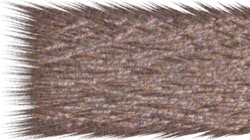 image: image from chuck's shooting stars