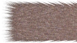 image: image from chuck's shooting stars