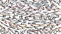 image: image from creative mac 1