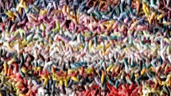 dino favourites :: burst1