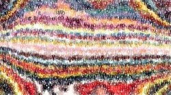 image: image from jean's wad select