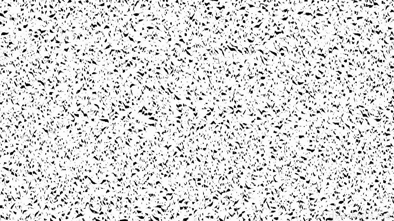 image: mark feb 2 :: pen