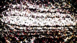 image: image from nagal series 03