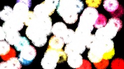 image: image from nagal series 03