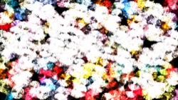 image: image from nagal series 03