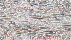 image: image from nagal series 03