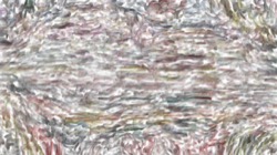 image: image from nagal series 03