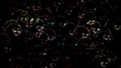 image: image from nagal series 03