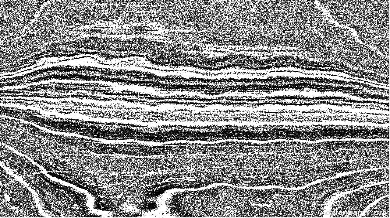 Image: nagal series 04 :: ns4pp1rapido2