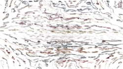 Image: image from nagal series 04