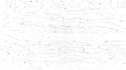 Image: image from nagal series 04