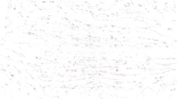 Image: image from nagal series 04