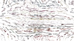 Image: image from nagal series 04