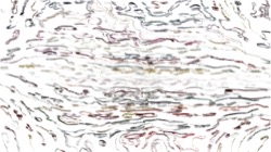 Image: image from nagal series 04