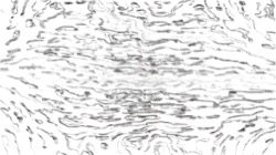 Image: image from nagal series 04