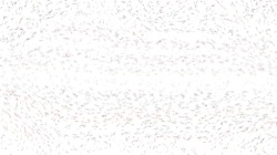 Image: image from nagal series 04