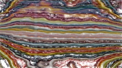 Image: image from nagal series 04