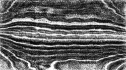 Image: image from nagal series 04