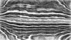 Image: image from nagal series 04