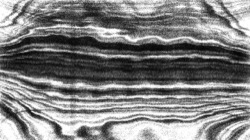 Image: image from nagal series 04