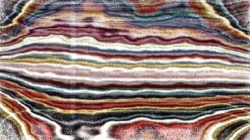 Image: image from nagal series 04