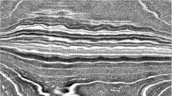 Image: image from nagal series 04