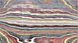 Image: image from nagal series 04