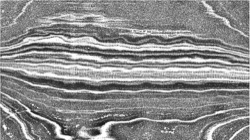 Image: image from nagal series 04