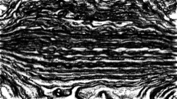 Image: image from nagal series 04