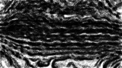 Image: image from nagal series 04